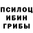Галлюциногенные грибы мухоморы CCC TAV