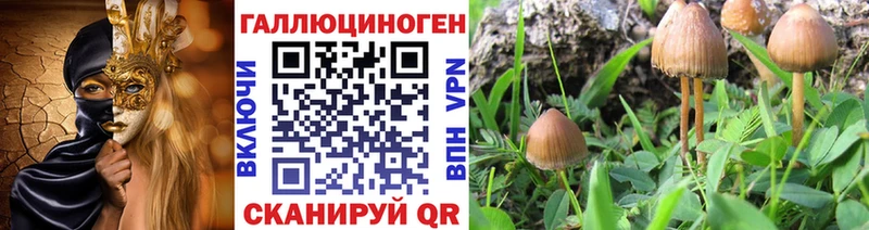 Галлюциногенные грибы прущие грибы Касли
